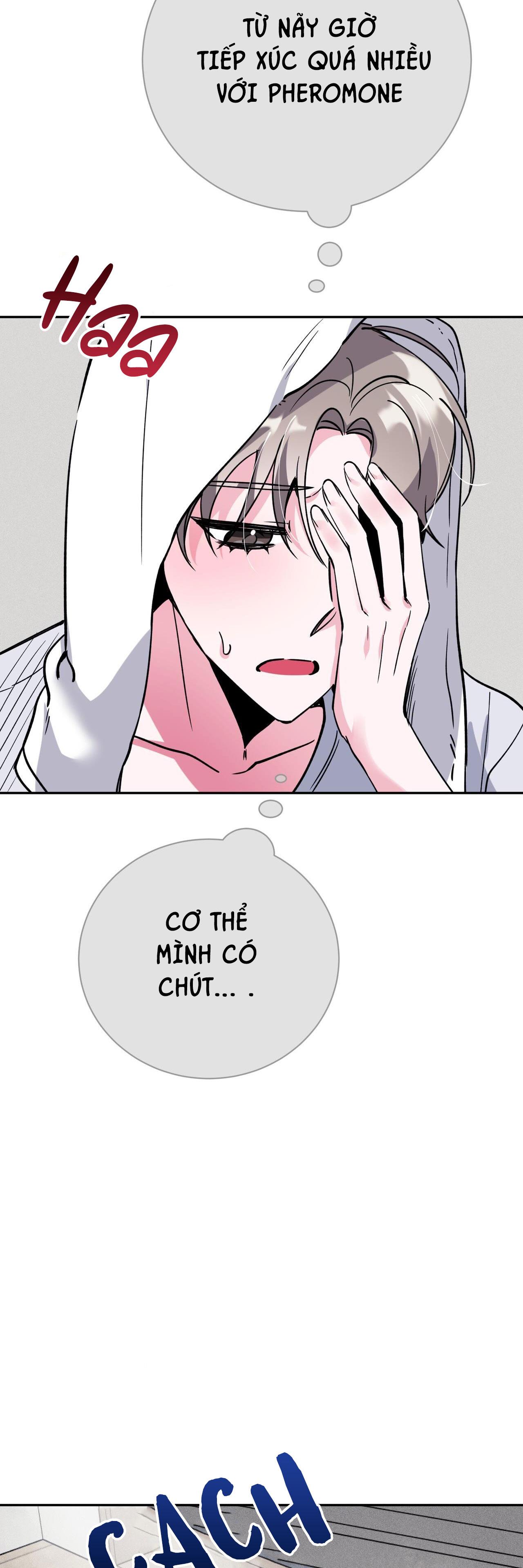 cạm bẫy đại học [m] chapter 35 40