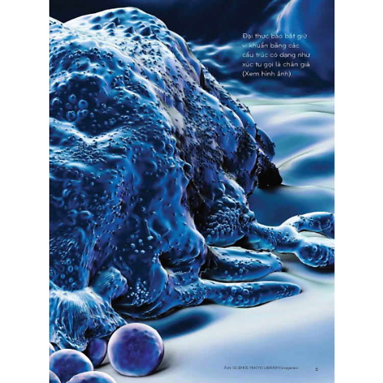 Sách Nhiệm Vụ Khoa Học Kỳ Bí