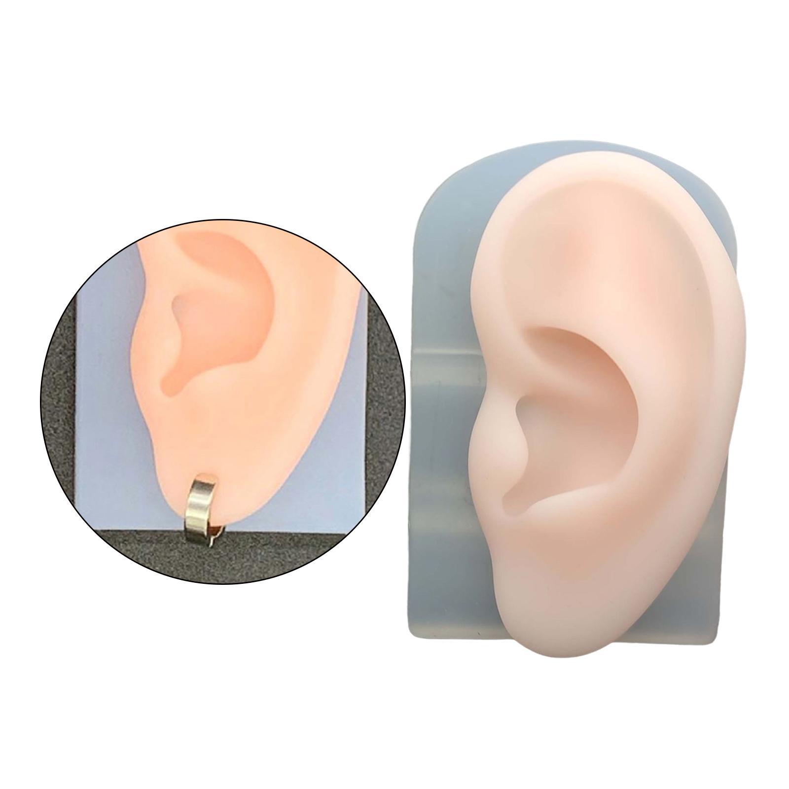 2Pcs Human Body Part Model Flexible Mold for Piercing Exercises Ears