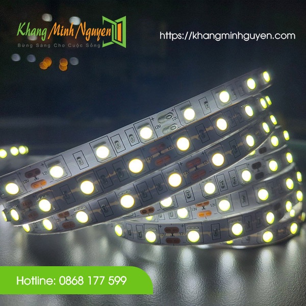 60 Led/mét LED dây 5050 12V bản rộng 10mm cuộn 5m - có keo 2 mặt Ánh sáng trắng, vàng ấm, trung tính