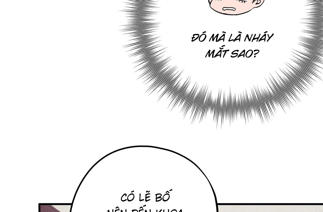 chàng dâu nhà họ kang chapter 42 132