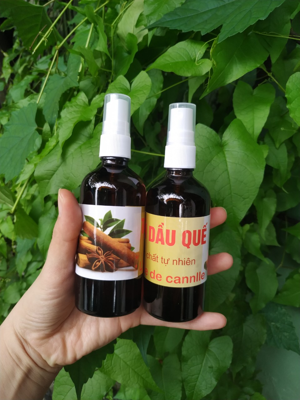 Tinh dầu quế xịt phòng, chai 100ml