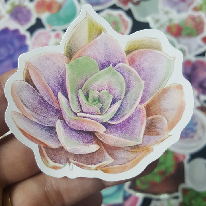 Bộ Sticker dán cao cấp chủ đề SEN ĐÁ SUCCULENTS - Dùng dán Xe, dán mũ bảo hiểm, dán Laptop