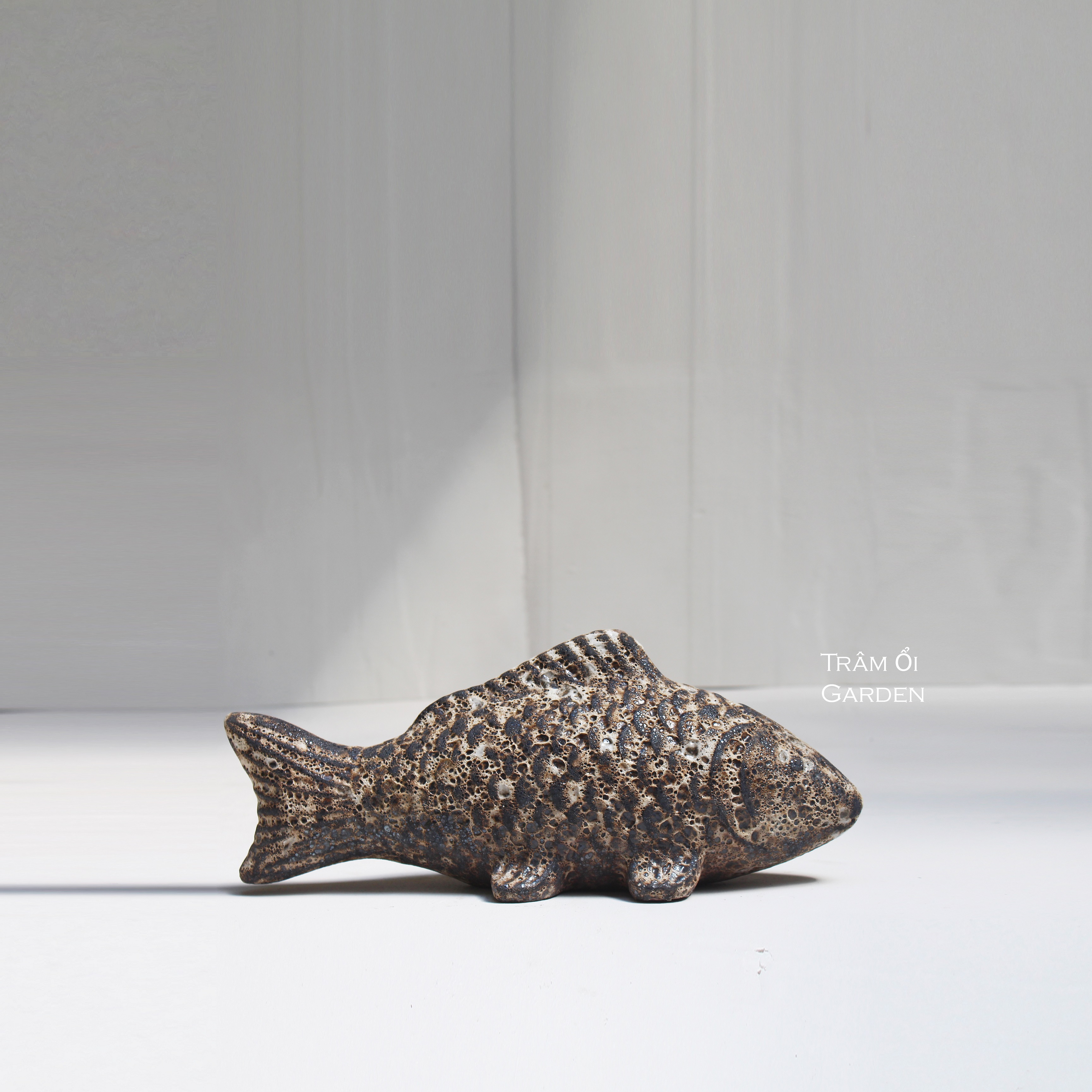 Chậu gốm và cây cảnh