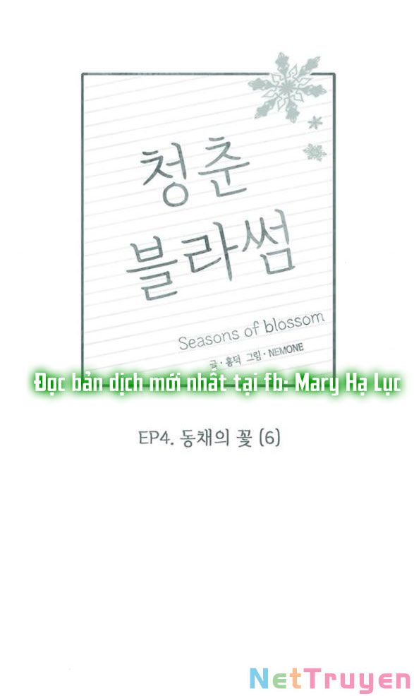 thanh xuân rực rỡ - season of blossom chapter 101 24