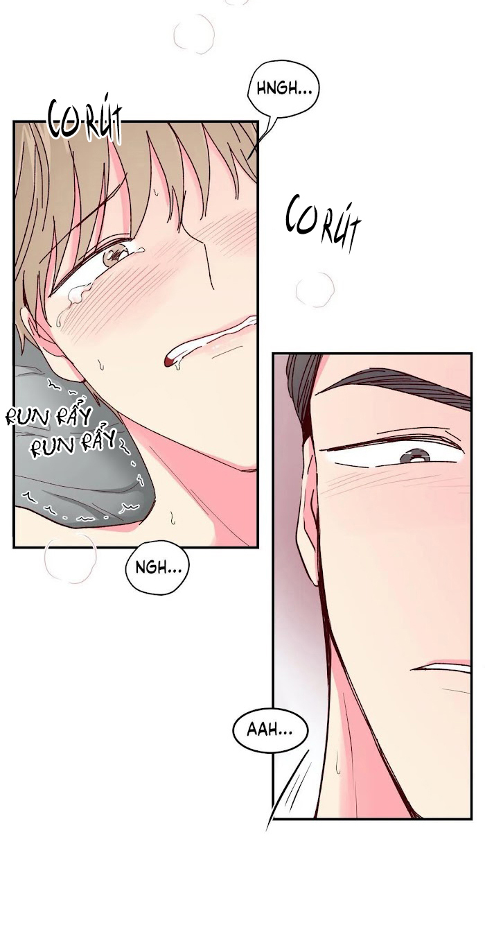 món tráng miệng của sếp tổng chapter 14 22