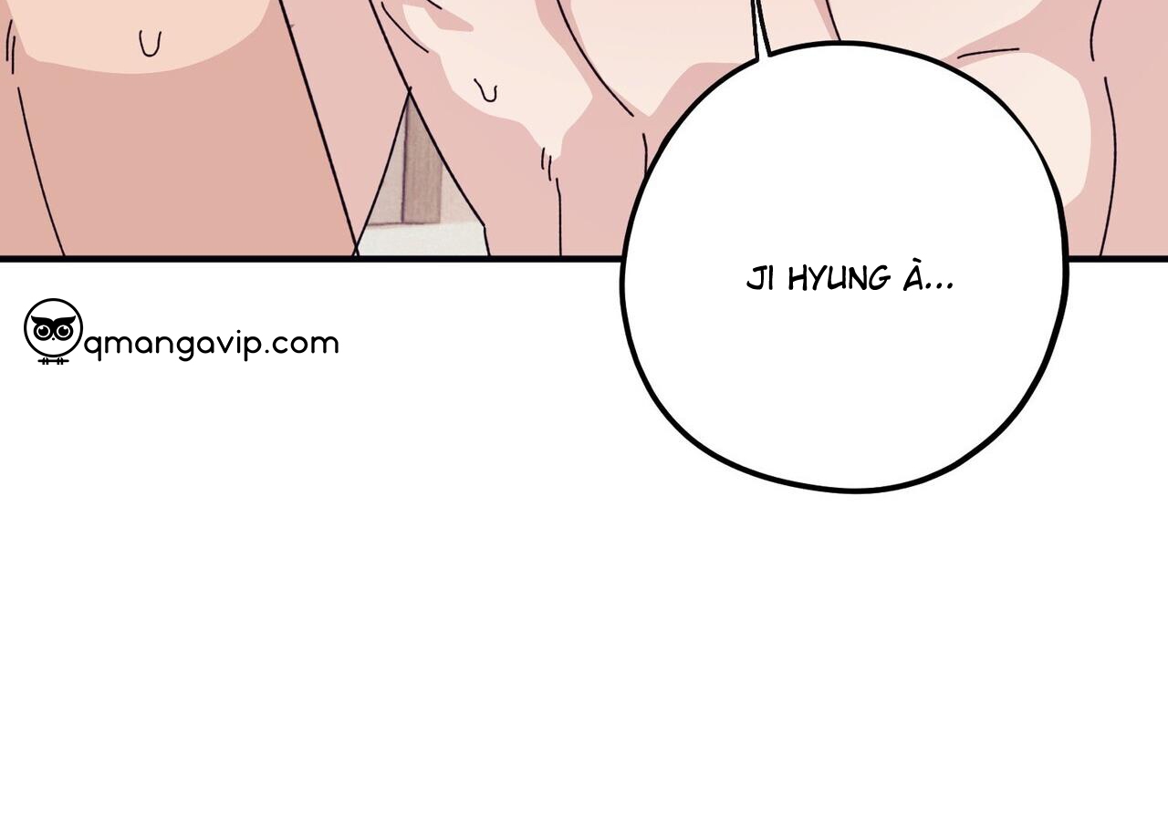 chàng dâu nhà họ kang chapter 44 154