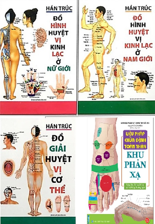 Combo 4 Cuốn :Liệu Pháp Chữa Bệnh Toàn Thân - Khu Phản Xạ ,Đồ Hình Huyệt Vị Kinh Lạc Ở Nữ Giới,Đồ Hình Huyệt Vị Kinh Lạc Ở Nam Giới,Đồ Giải Huyệt Vị Cơ Thể