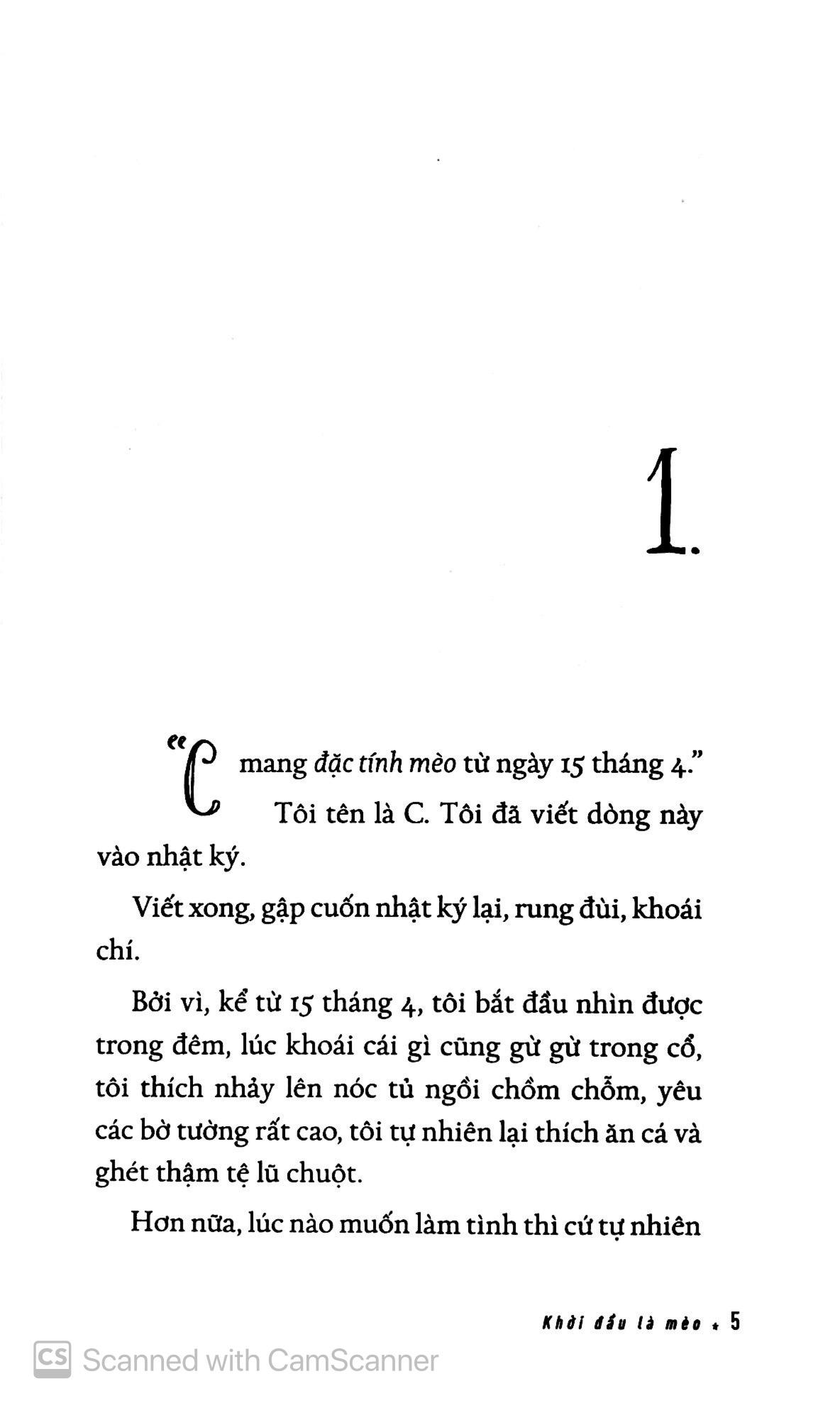 Khởi Đầu Là Mèo