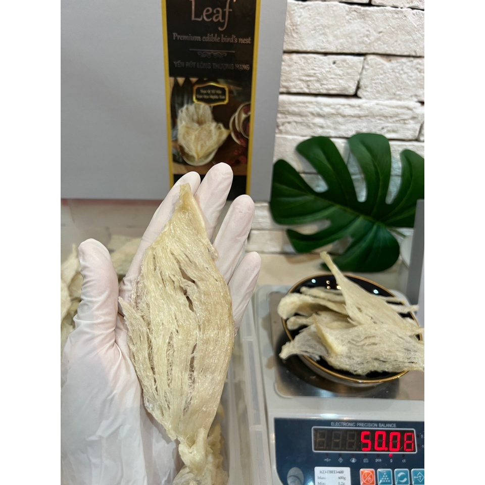Tổ yến rút lông KHÔNG VỤN 100% SỢI GÂN thượng hạng từ tổ yến sào Khánh Hoà Nha Trang dòng xuất khẩu tại Yến Sào An Toàn
