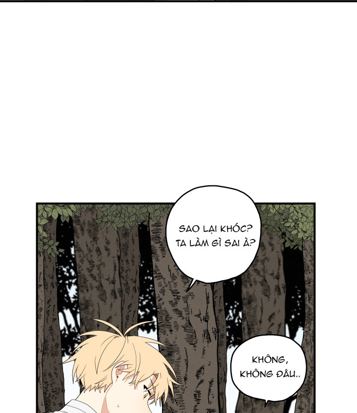 đường hoa liên kiều rơi chapter 19 38