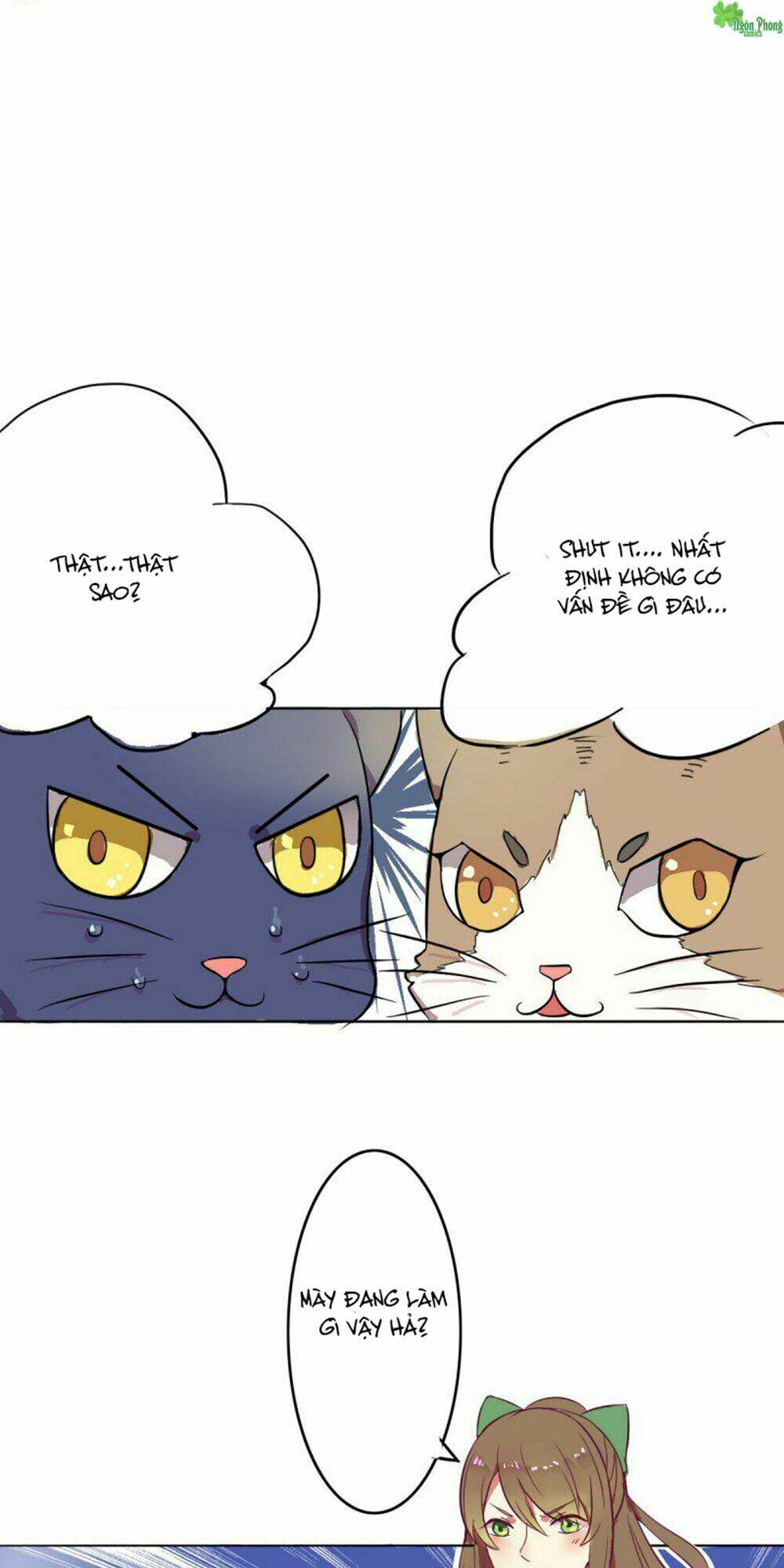 hai chú mèo totem chapter 2 11