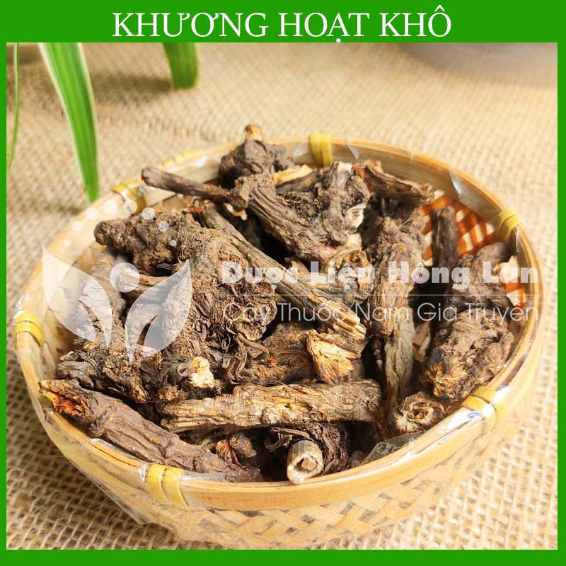 [THƯỢNG HẠNG] 100g Khương Hoạt khô đẹp loại 1