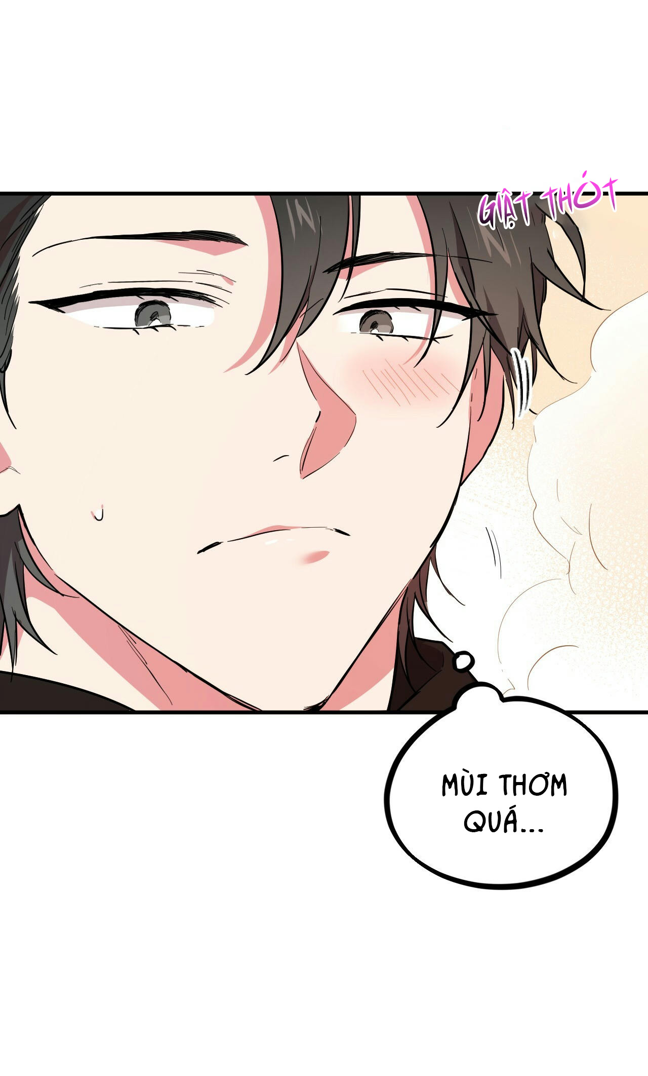 những chú thỏ của hapypy chapter 4 47