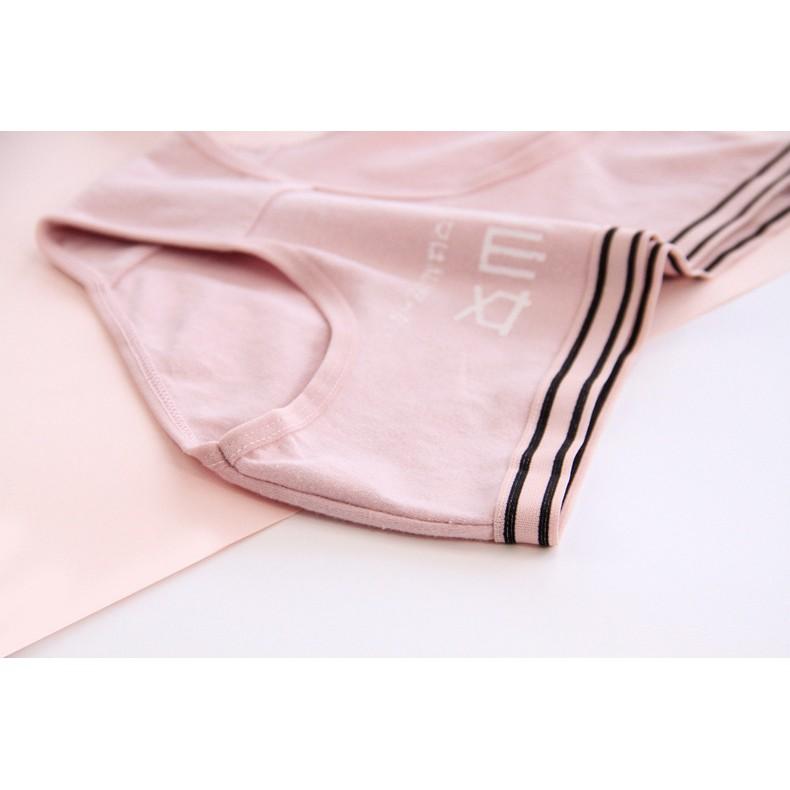 Hộp 05 quần lót cotton hình chữ
