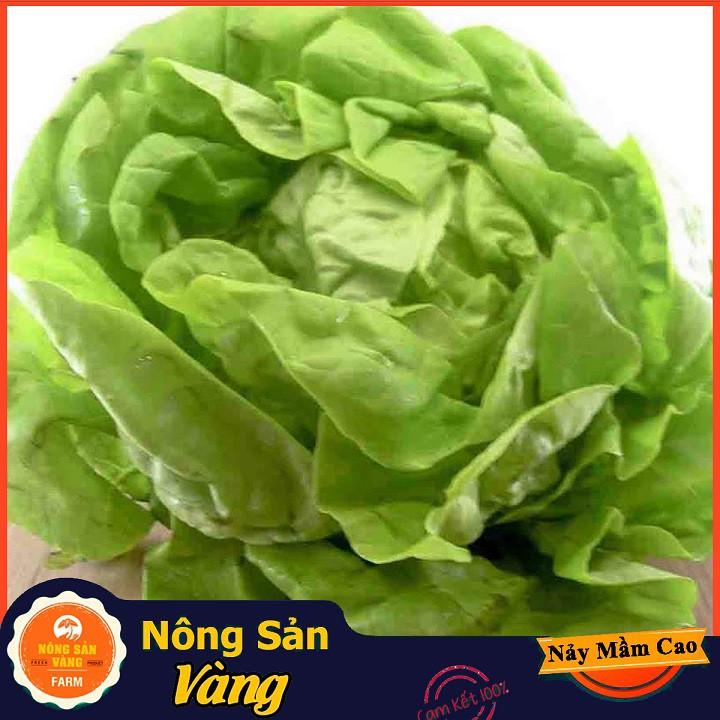 Hạt giống Xà Lách Búp Mỡ , Xà Lách Đăm