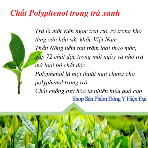 Thực Phẩm Bảo Vệ Sức Khỏe Viên Tăng Cường Sức Khỏe - Thiên Sư. Cung cấp oxi cho não và tim, chống say tàu xe, An thần ngủ ngon.