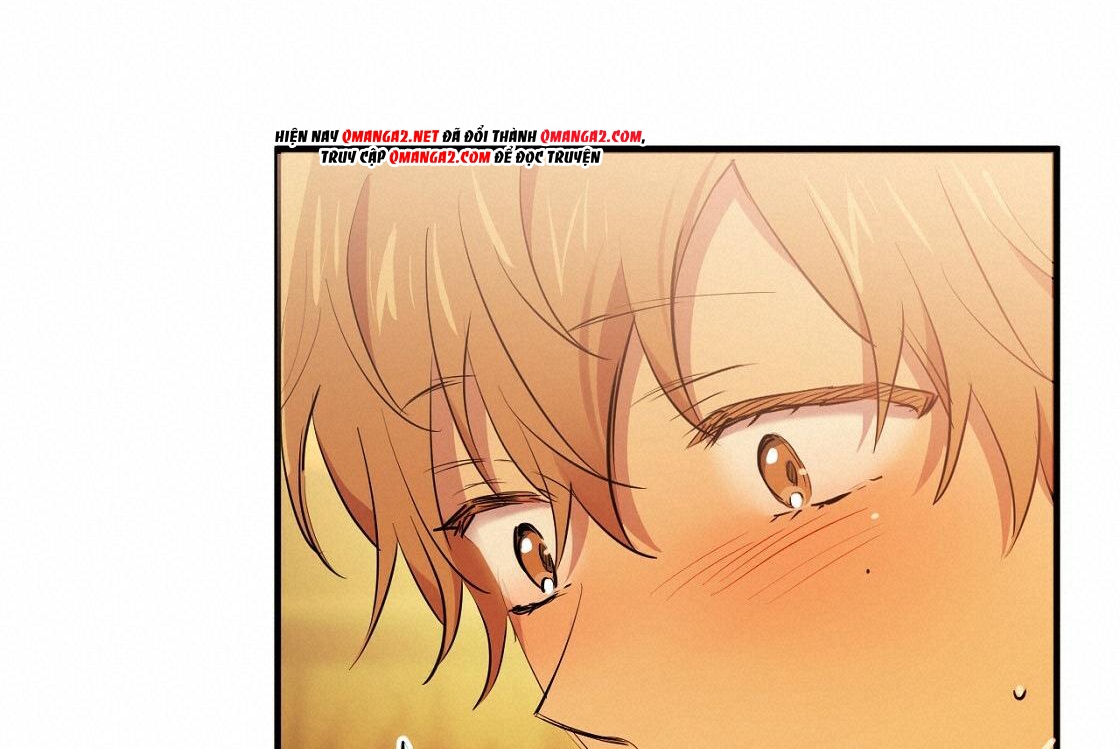 đàn thỏ của habibi chapter 24 96