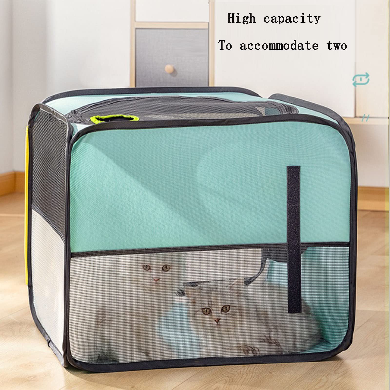 Hộp Sấy Khô Thú Cưng Pet Drying Box