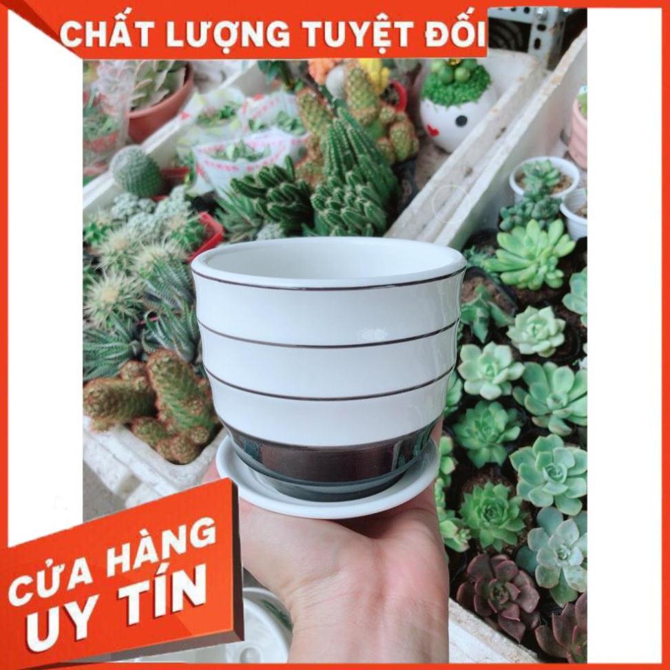 Chậu kiểu trắng đen tráng men cao cấp kèm dĩa lót