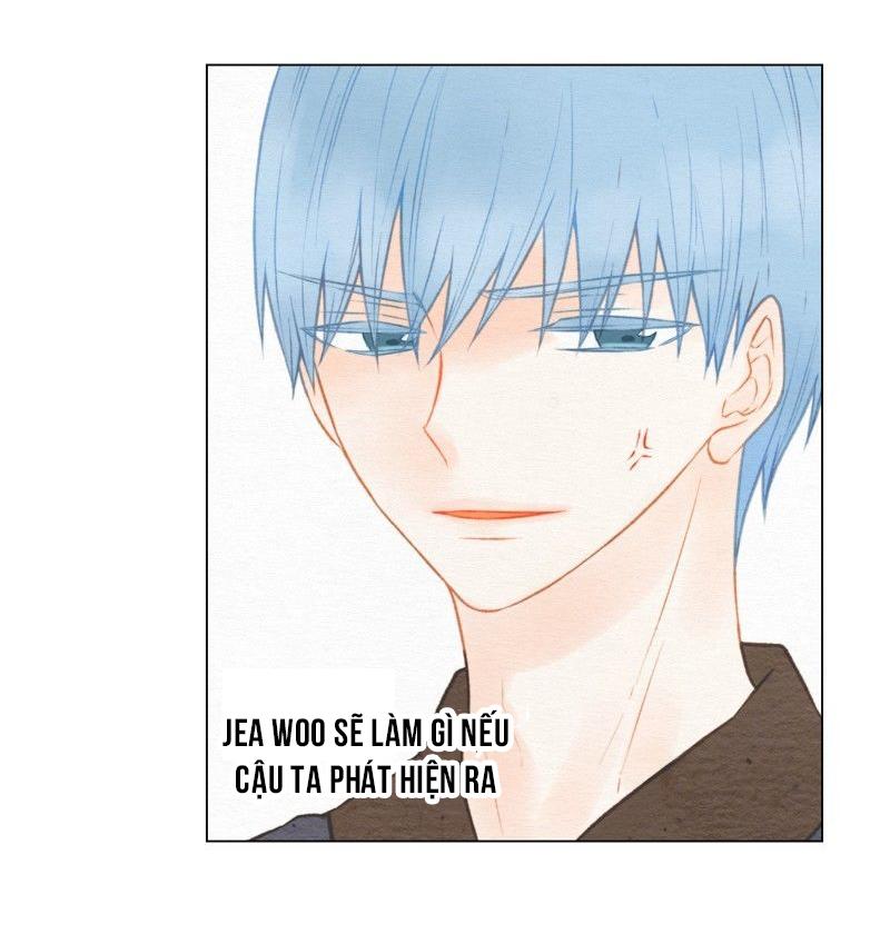 sao chép chapter 24 4