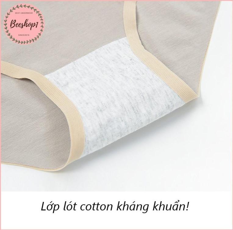 Combo 3 quần lót cotton không viền kháng khuẩn QC79