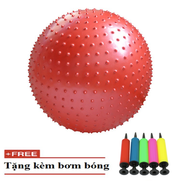 Bóng tập Yoga có gai 55cm Sportslink