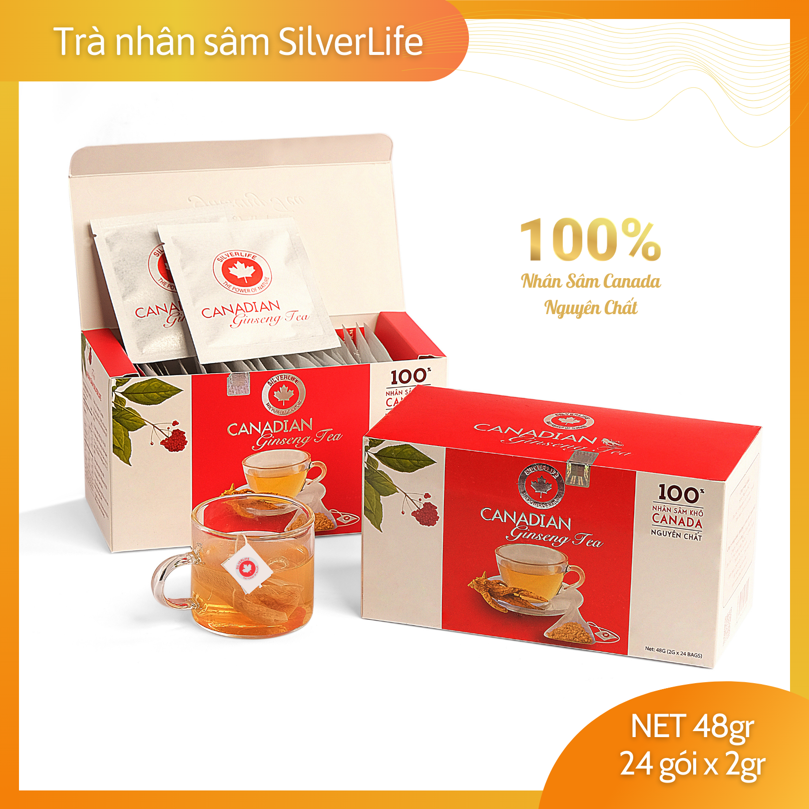 Trà nhân sâm Canada SilverLife hộp 24 gói 48g - 100% nhân sâm Canada tự nhiên nguyên chất - Giúp giải nhiệt, tăng cường sức khoẻ