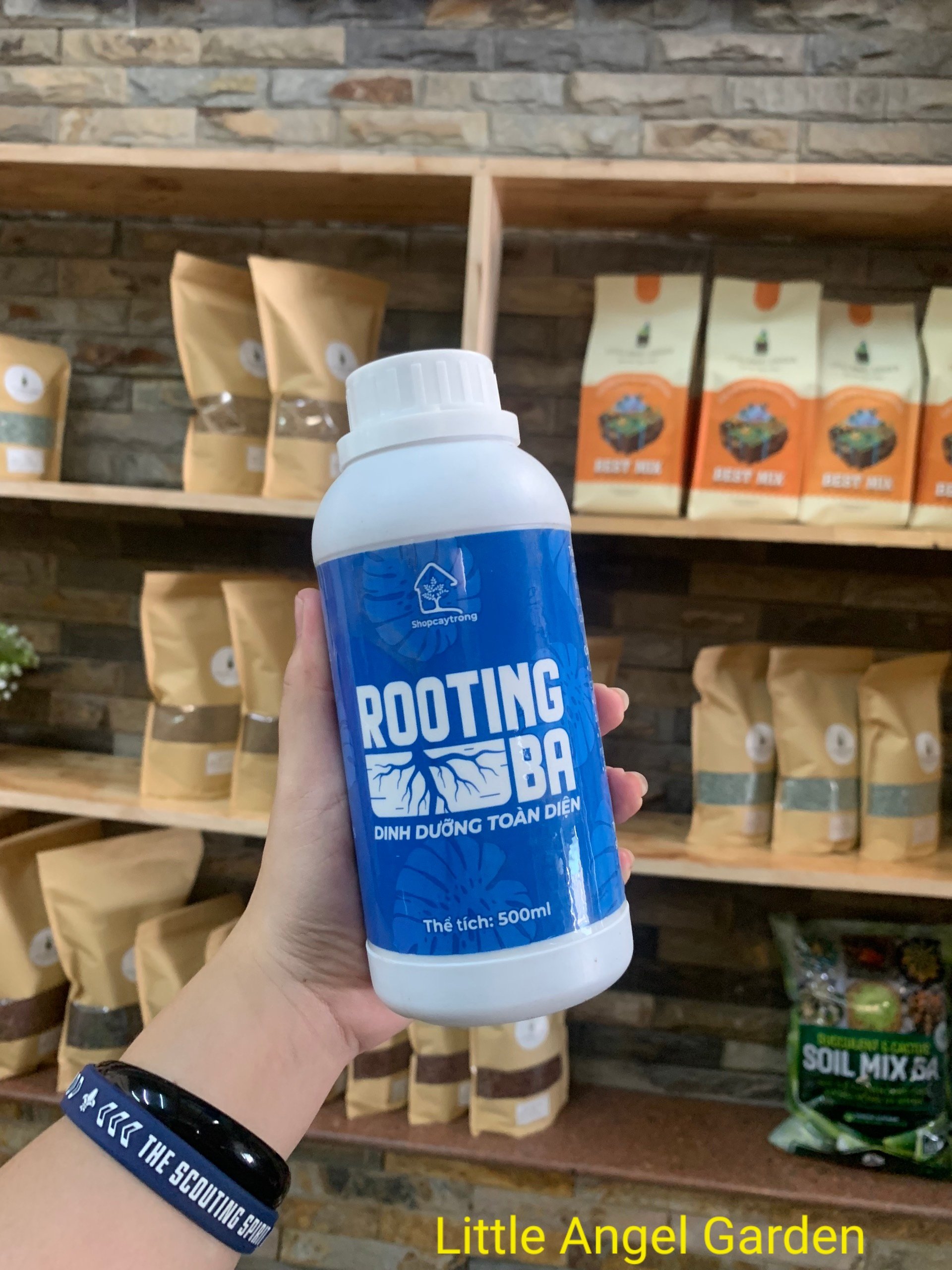 Rooting BA| Kích rễ cây trồng, xương rồng sen đá, kiểng lá