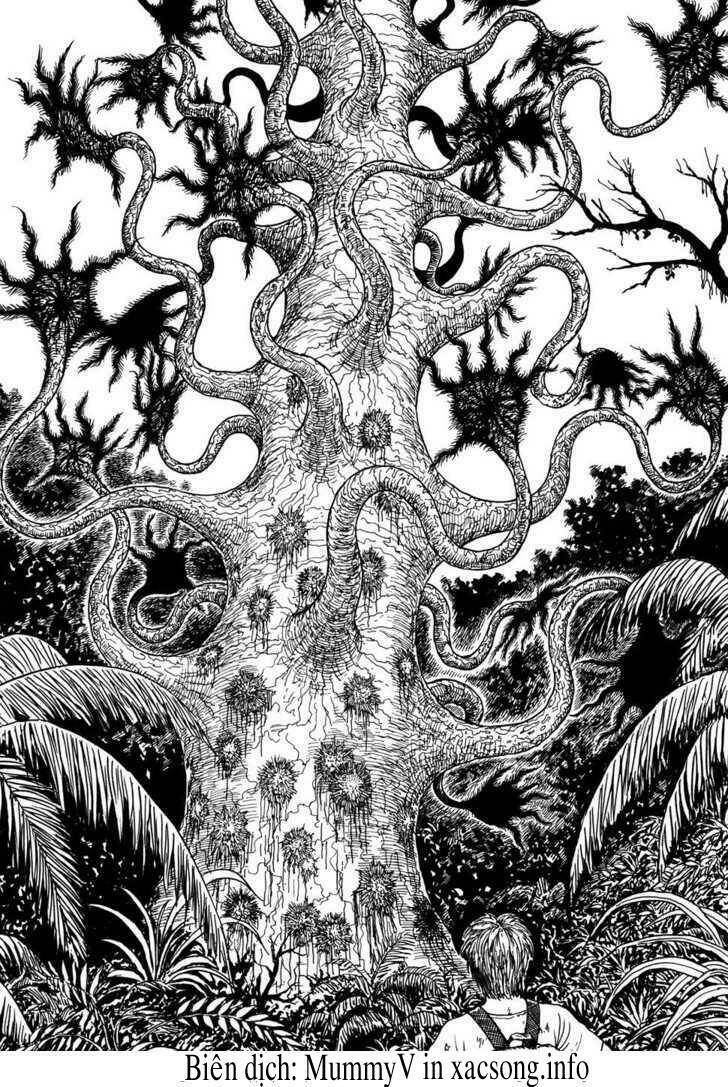 new voices in the dark chapter 7 30