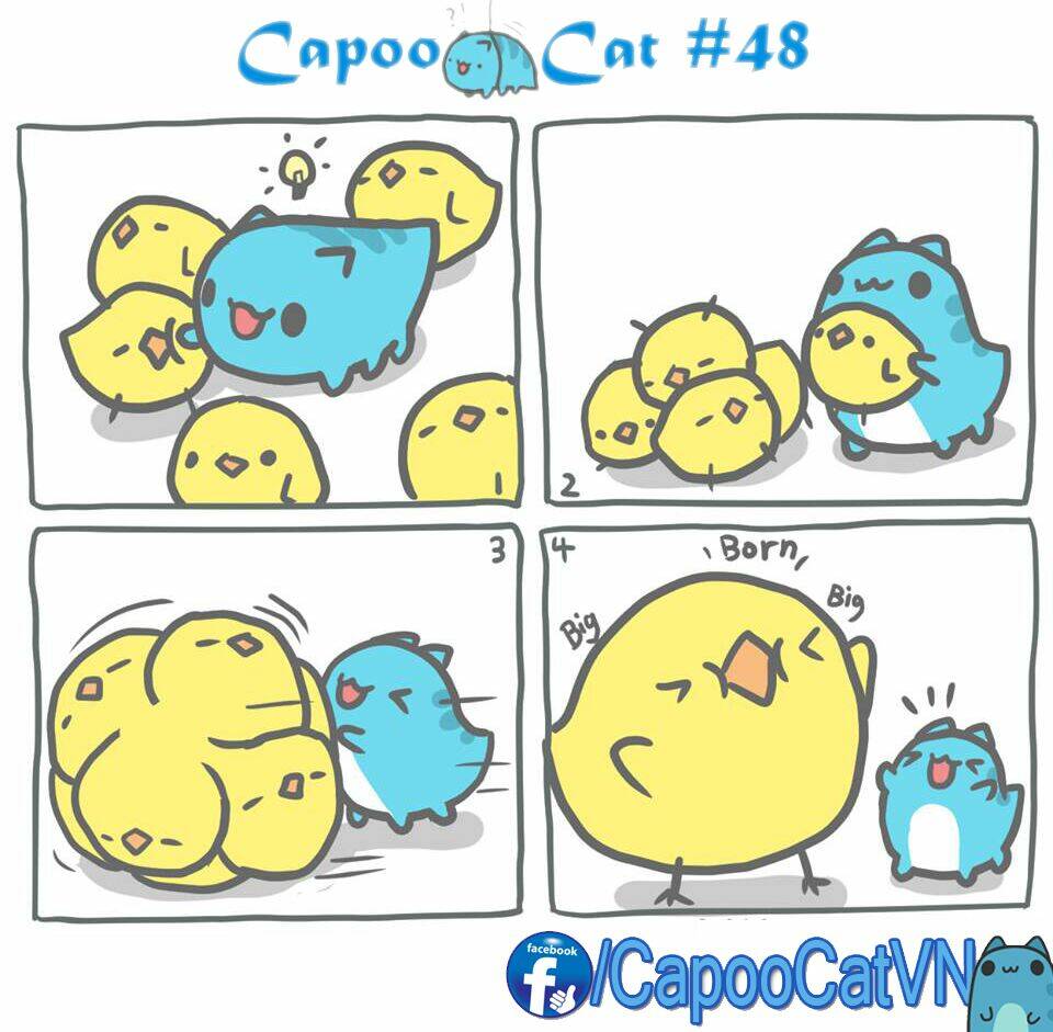 capoo cat chapter 5 8
