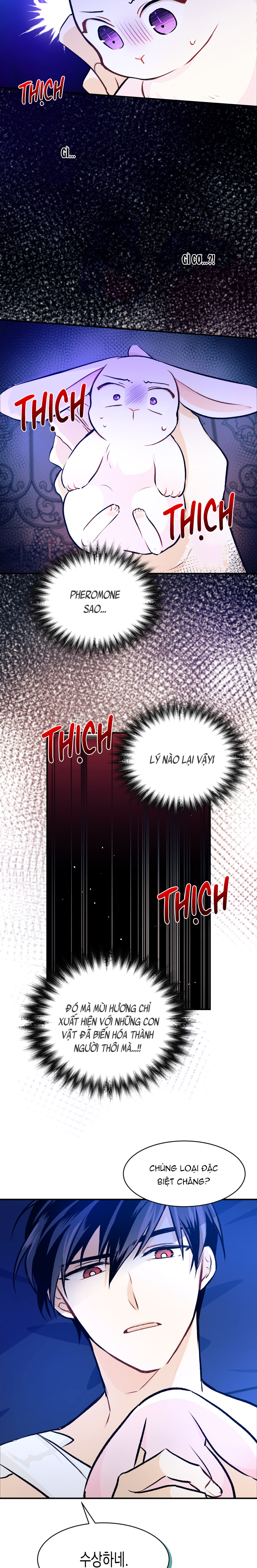 mối liên kết giữa báo đen và bé thỏ chapter 4 49