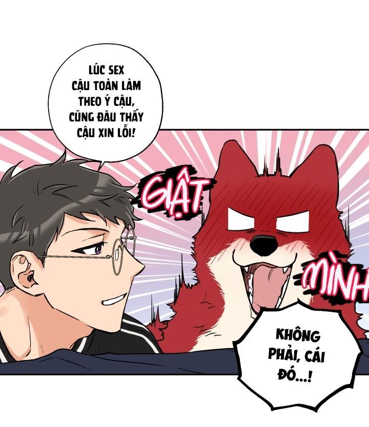 gâu gâu! chapter 19 19