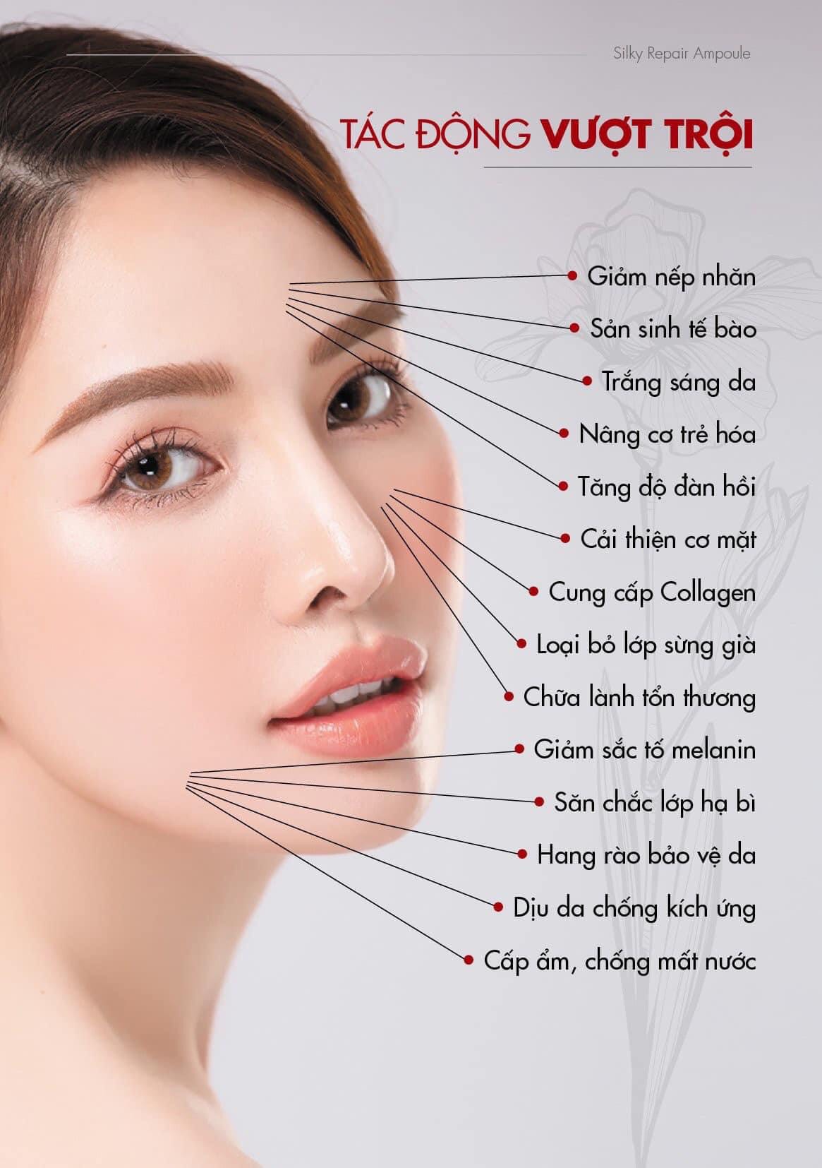 Serum Huyết Thanh Silky Repair Ampoule - MP0000008 - Liệu Pháp Trẻ Hóa, Trắng Da Toàn Diện - Xóa Mờ Nếp Nhăn, Giúp Da Căng Bóng, Đàn Hồi - Cấp Ẩm, Chống Mất Nước Cho Da