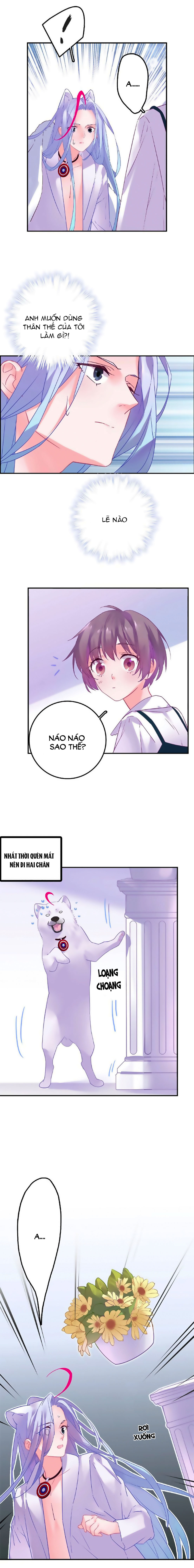 đừng nghịch, ta chỉ muốn yên tĩnh chapter 81 10