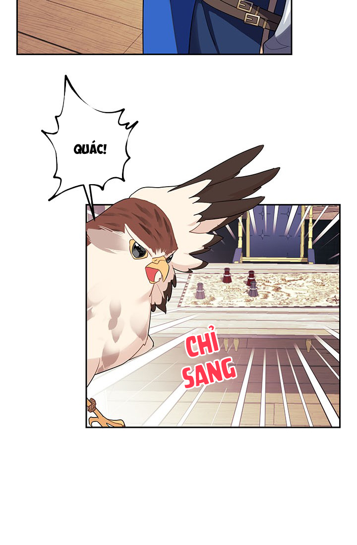 công chúa của loài chim chapter 6 14