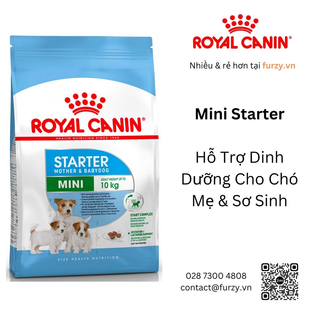 Royal Canin Thức Ăn Hạt Cho Chó Mang Thai & Sơ Sinh  Giống Nhỏ Mini Starter