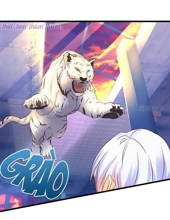 Hắc Đạo Này Có Chút Manh chapter 13 32