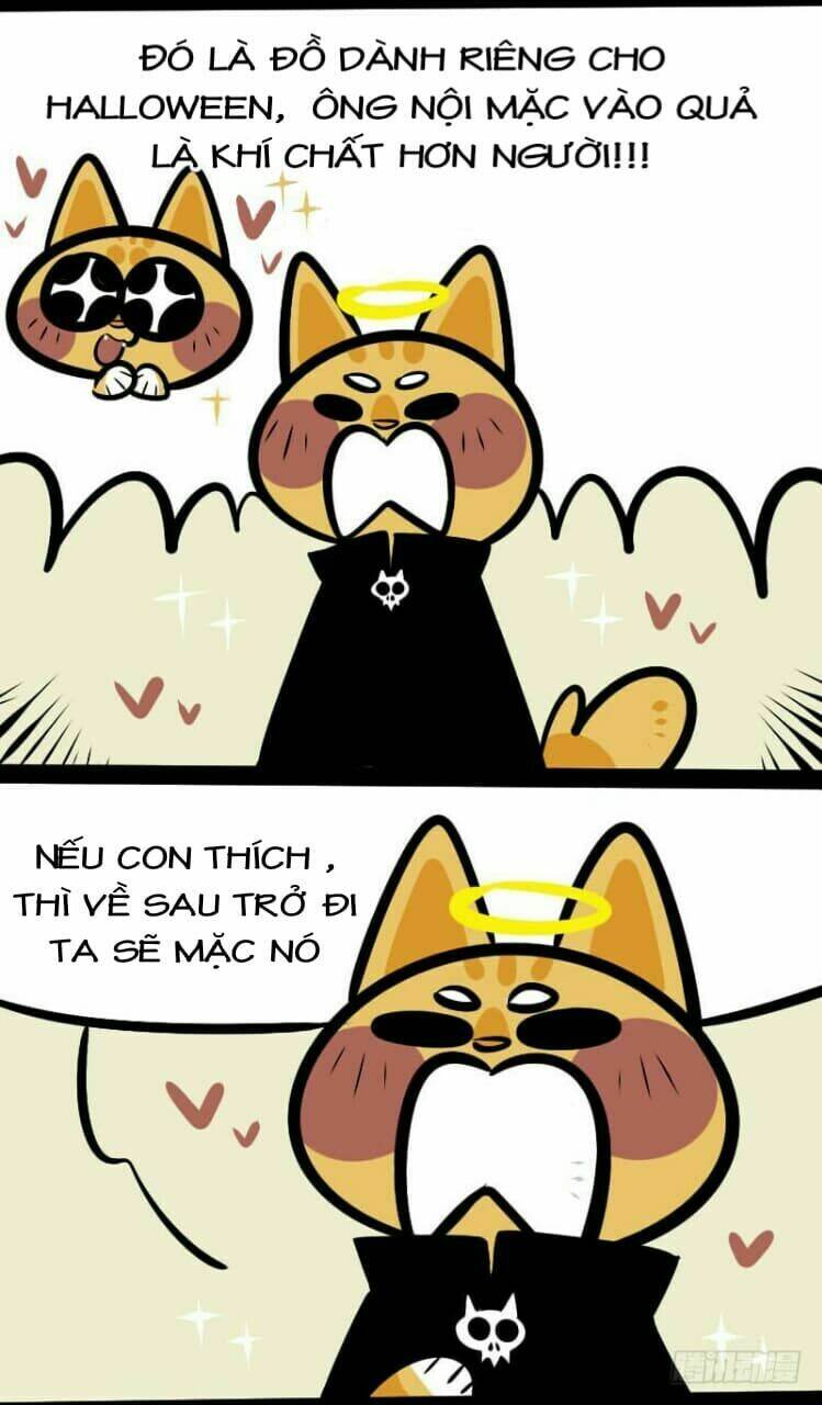 đời không như mình tưởng chapter 10 17