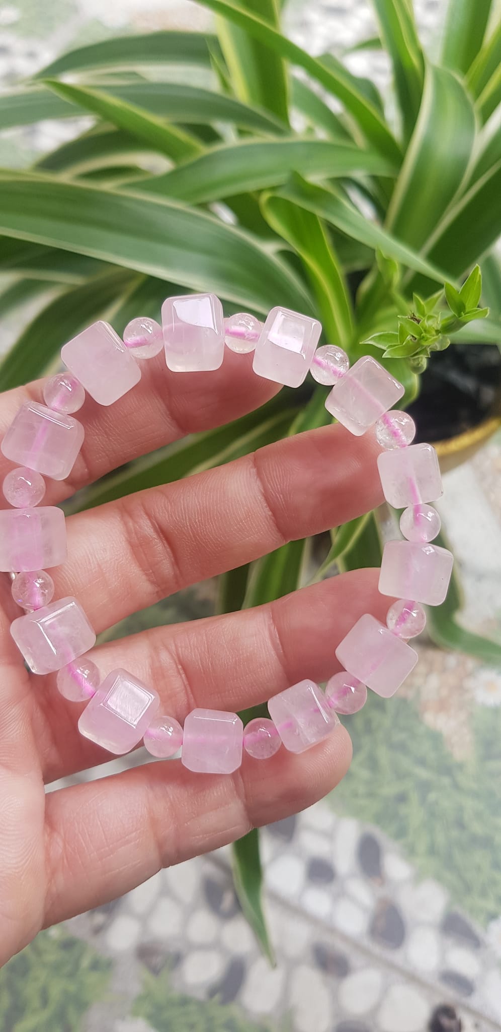 Vòng tay nữ kiểu đá thạch anh hồng tự nhiên hạt vuông tròn đan xen rất là đẹp Size hạt vuông 9mm phối bi nhỏ 6mm màu hồng tươi nhẹ nhàng nữ mệnh hỏa mệnh thổ đeo có 499k ạ