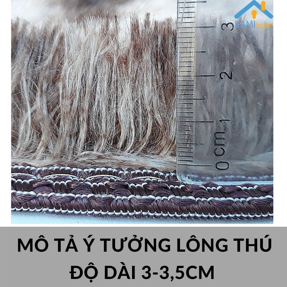 Thảm lông loang trải sàn (Loại dài 3cm) trang trí chụp ảnh Chùi chân khô Chữ nhật 60*40cm mã 27013