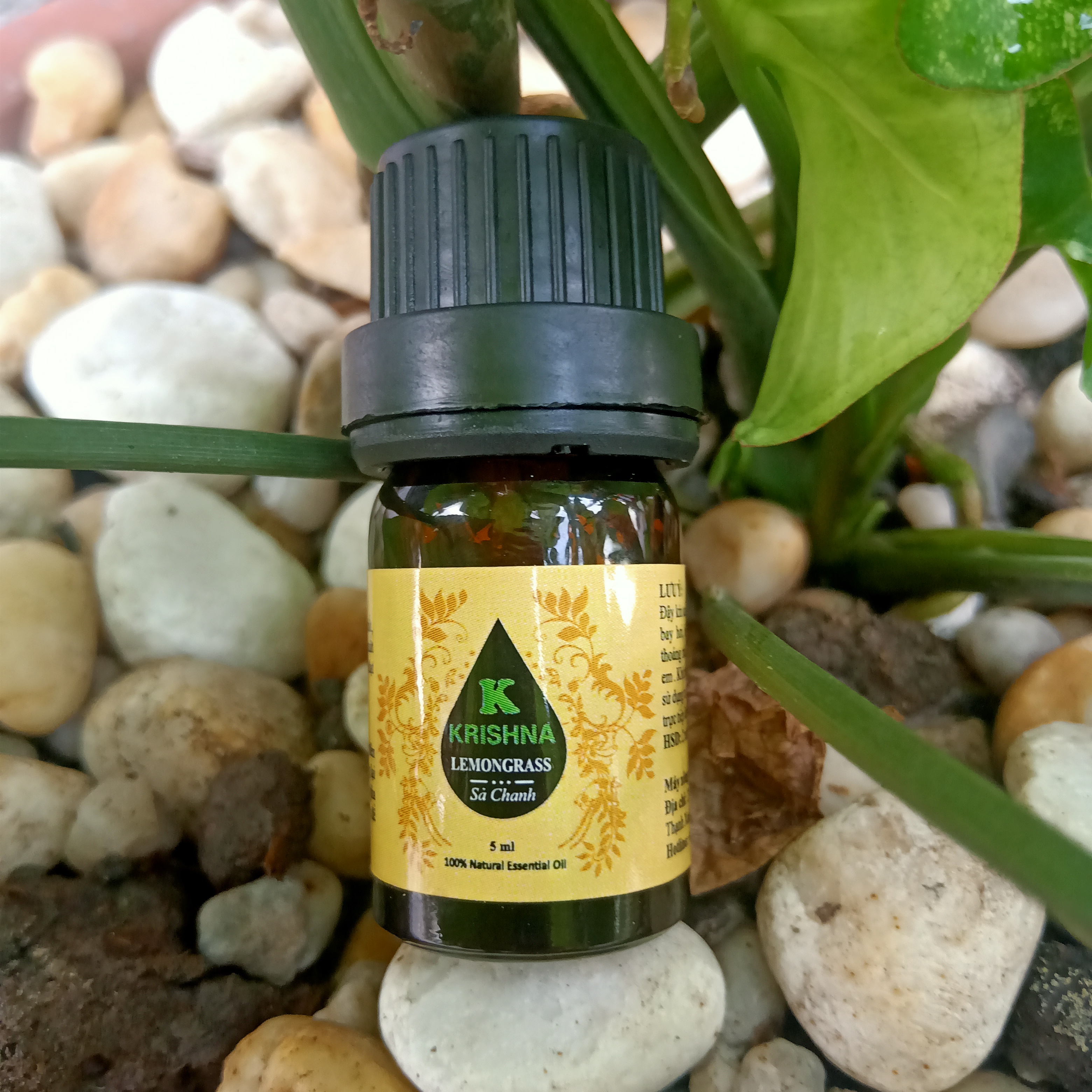 Tinh Dầu Sả Chanh Krishna nguyên chất nhập khẩu 5 ml - Tinh Dầu Thiên Nhiên Nguyên Chất, Tinh Dầu Xông Phòng, Giúp Giảm Stress, Xua Đuổi Côn Trùng Và Khử Mùi Hiệu Quả, Thích Hợp Dùng Với Đèn Xông Và Máy Khuếch Tán Tinh Dầu