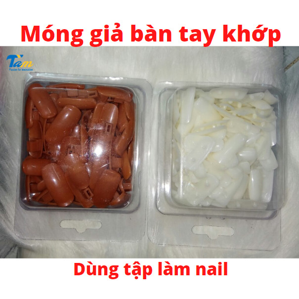 Móng giả gắn bàn tay khớp học làm móng Nail