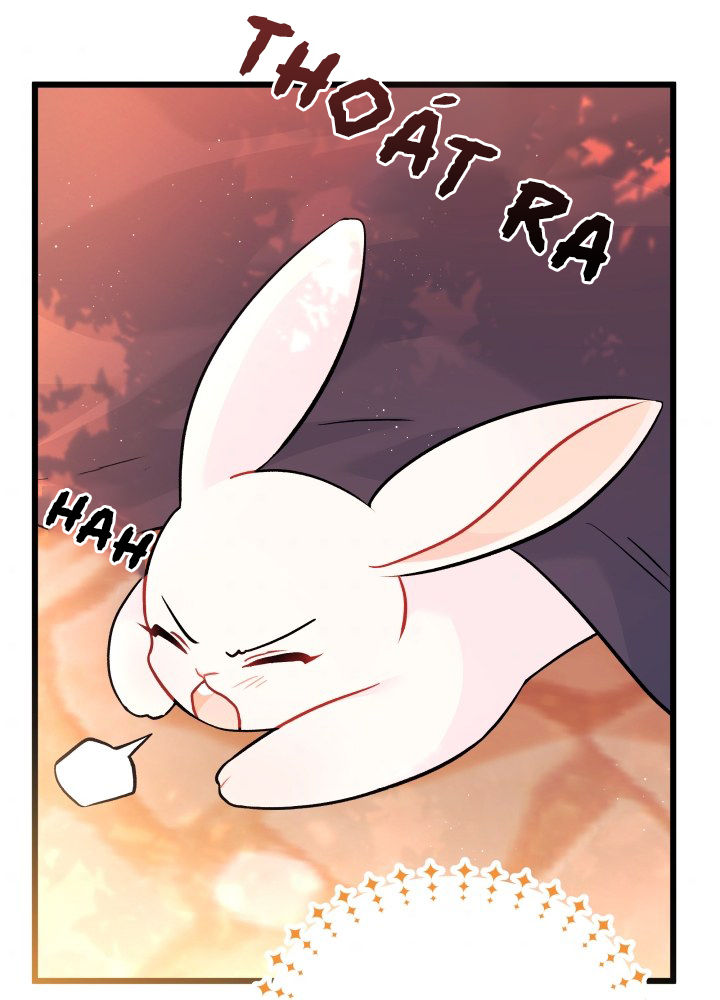 mối liên kết giữa báo đen và bé thỏ chapter 33 53