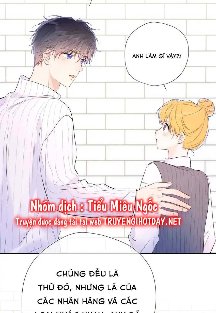 vì sao của tôi chapter 136 21