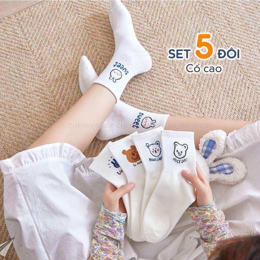 Tất cổ cao nữ họa tiết GẤU dễ thương, set tất vớ nữ chất liệu cotton chống hôi chân - TGS SHOP