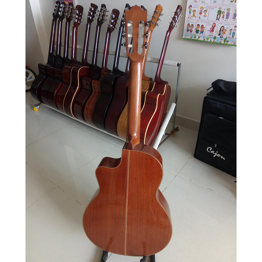 Guitar Classic DC250