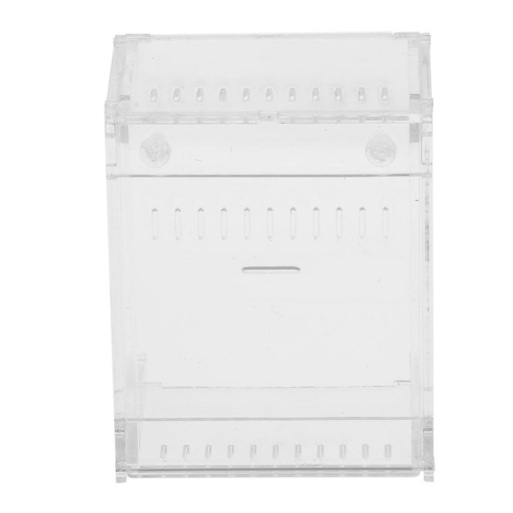 Acrylic Pet Reptiles Worm Breeding Box Clear Cases for Reptile