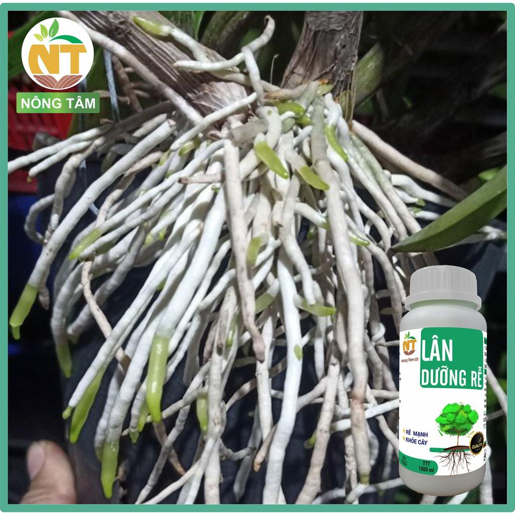 Phân bón siêu dưỡng rễ, kích rễ, chuyên dùng cho rau màu, cây ăn quả, chai 1000ml