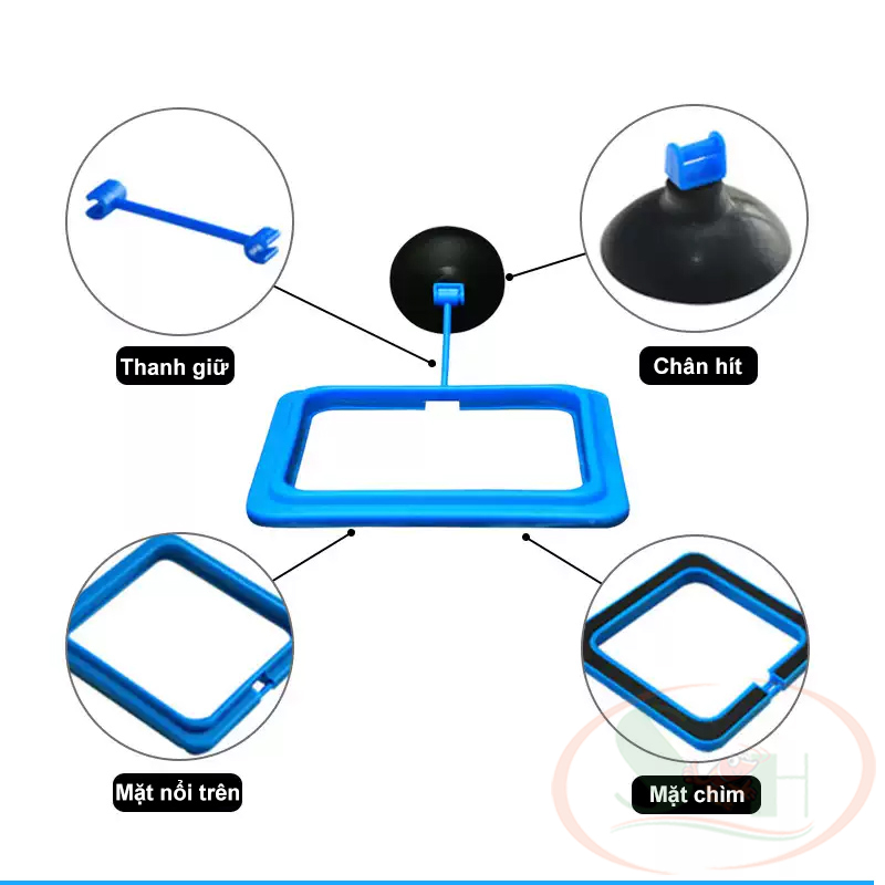 Vòng cho cá ăn Feeding Ring giữ thức ăn cám nổi bể cá thủy sinh